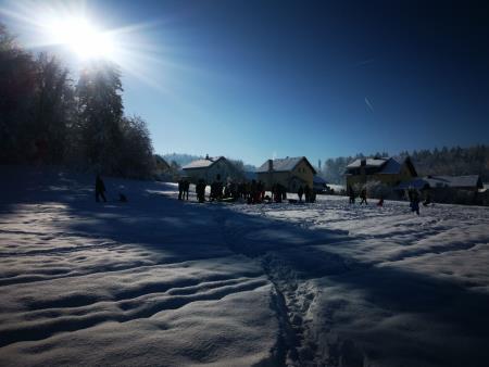 Velika nagrada Mirne 2024, foto Pep (13)